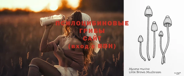 экстази Алексин