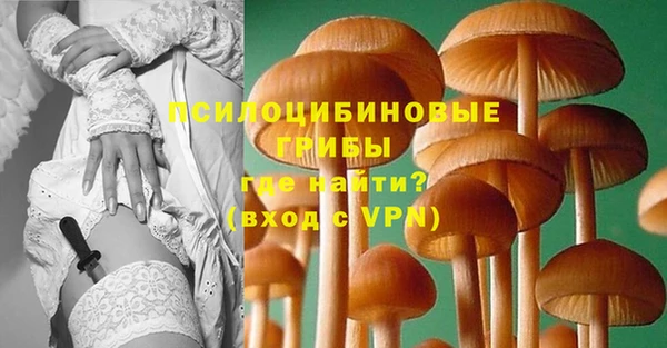 марки lsd Пересвет